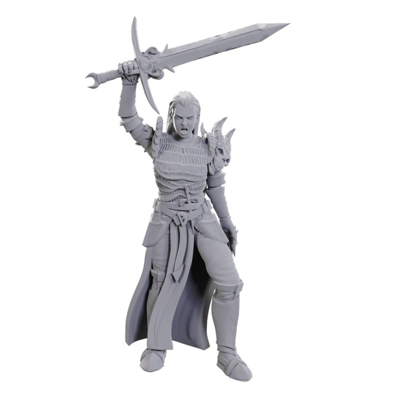 Blackguard - Nolzur's Marvelous Unpainted Miniatures