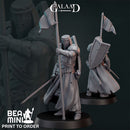 Human Paladin 01  | BeaMini Print to Order Miniatures