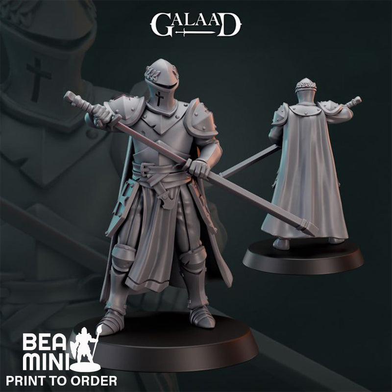Human Paladin 02  | BeaMini Print to Order Miniatures